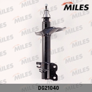 Shock Absorber (DG21040)