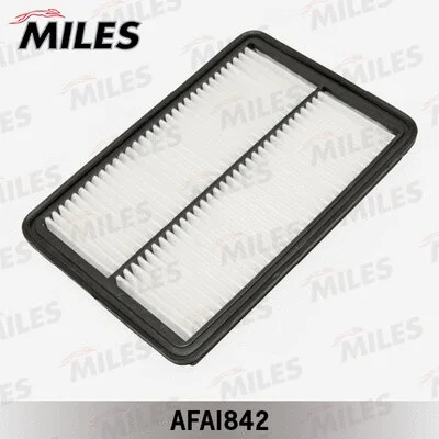 Air Filter (AFAI842)