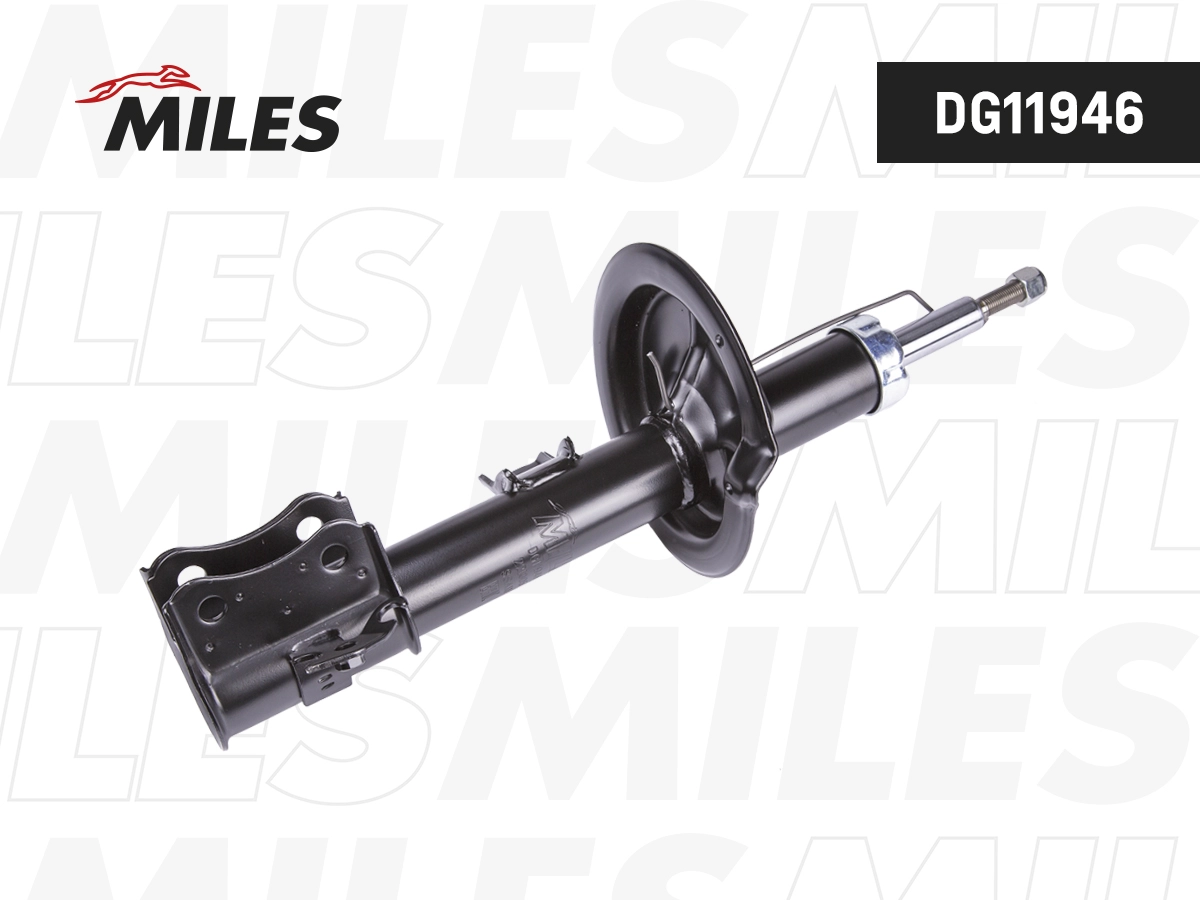 Shock Absorber (DG11946)