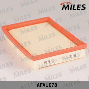 Air Filter (AFAU078)