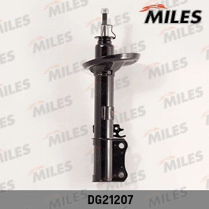 Shock Absorber (DG21207)