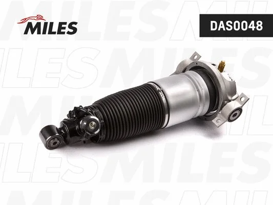 Air Suspension Strut (DAS0048)