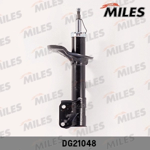 Shock Absorber (DG21048)