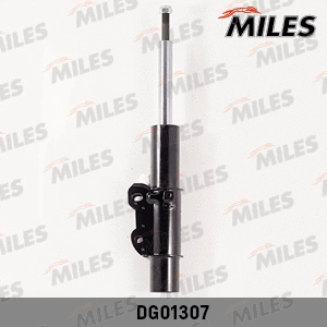Shock Absorber (DG01307)