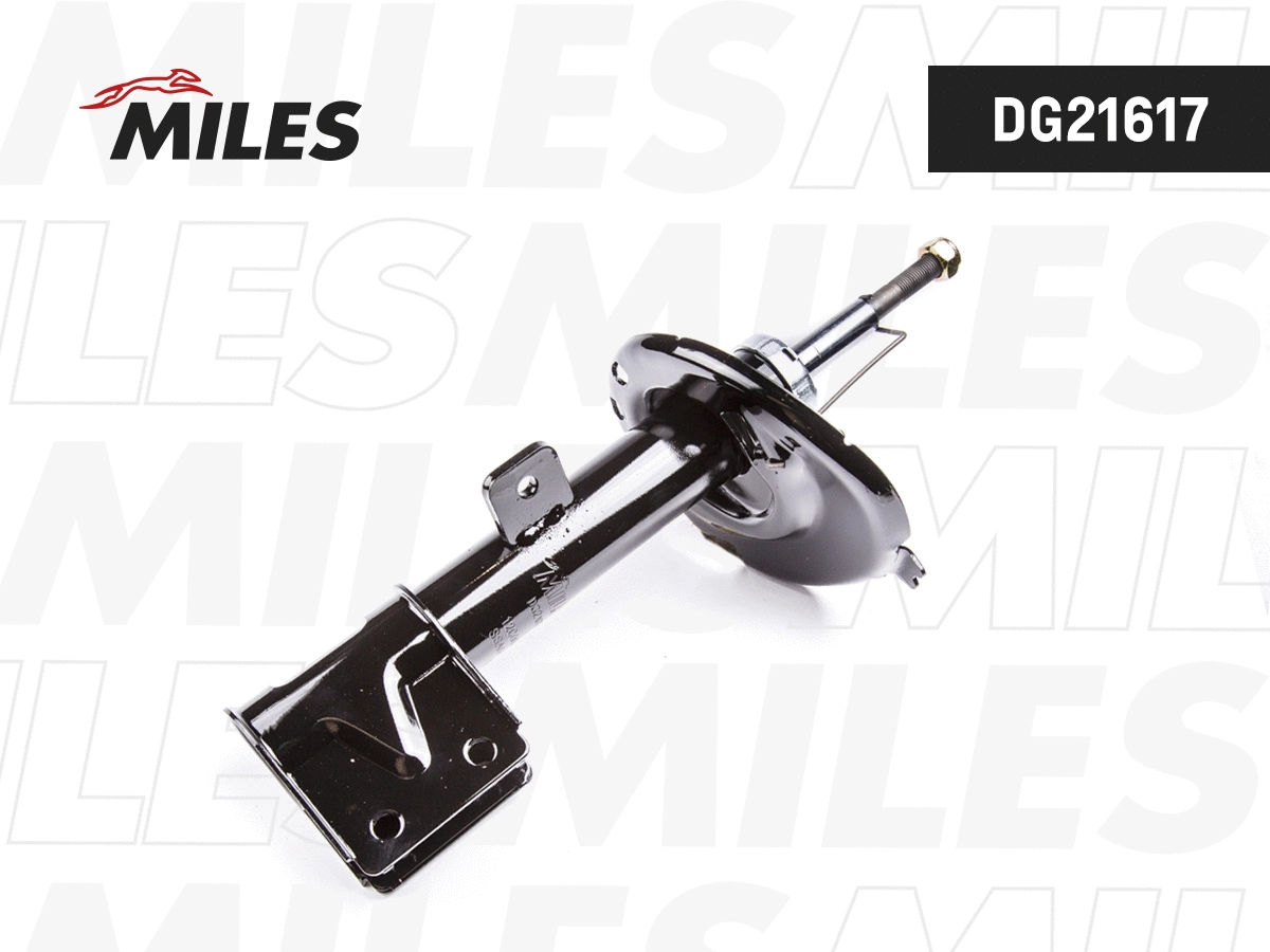 Shock Absorber (DG21617)