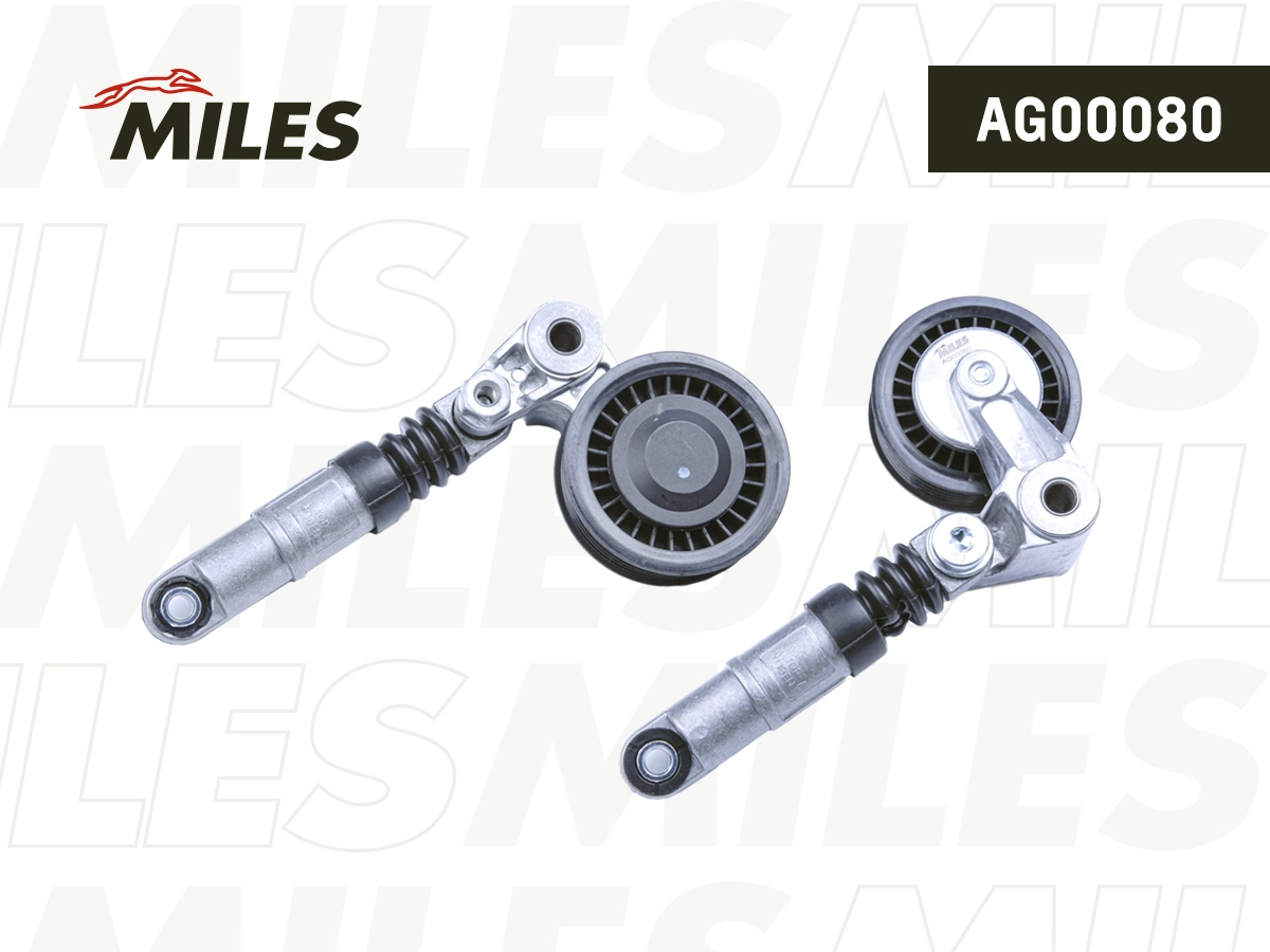 Tensioner Lever, V-ribbed belt (AG00080)