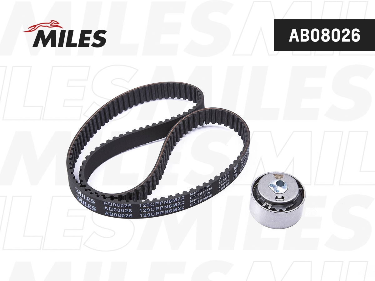 Timing Belt Kit