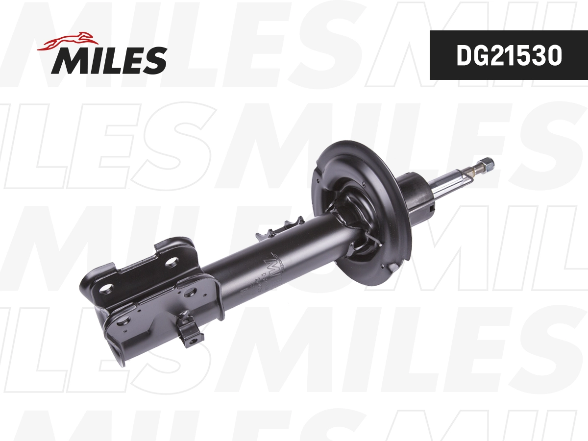 Shock Absorber (DG21530)