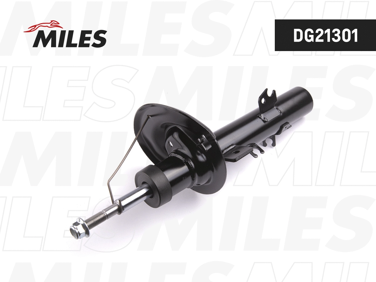 Shock Absorber (DG21301)