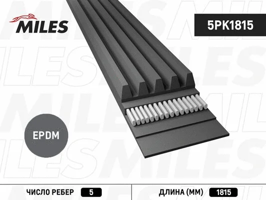 V-Ribbed Belt (5PK1815)