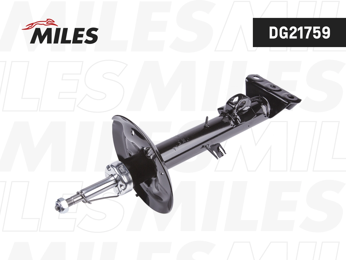 Shock Absorber (DG21759)