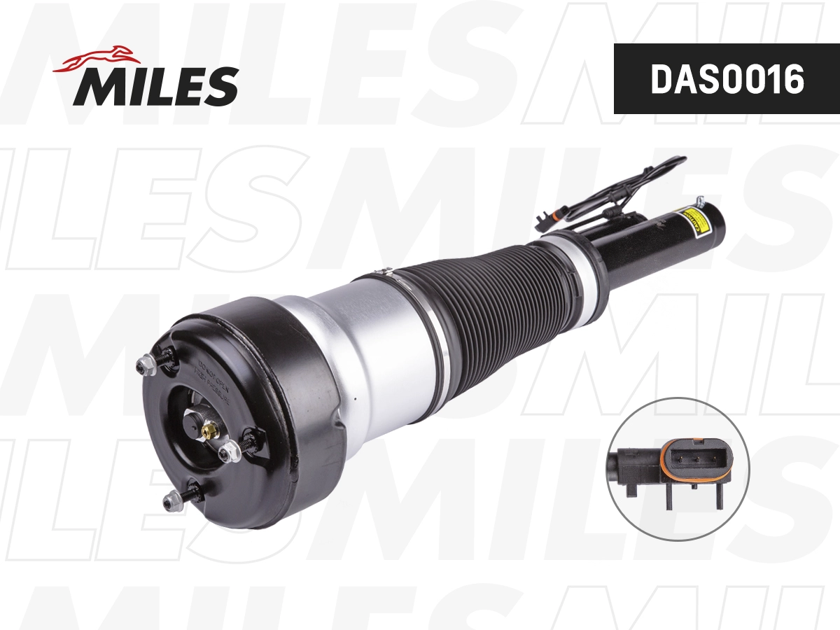 Air Suspension Strut (DAS0016)
