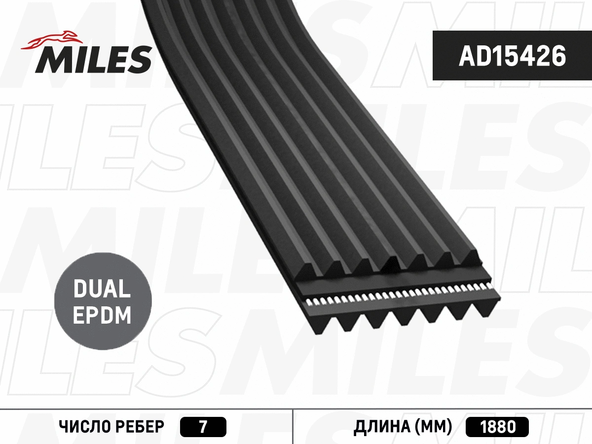 V-Ribbed Belt (AD15426)