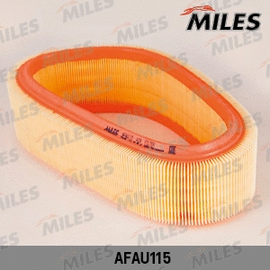 Air Filter (AFAU115)