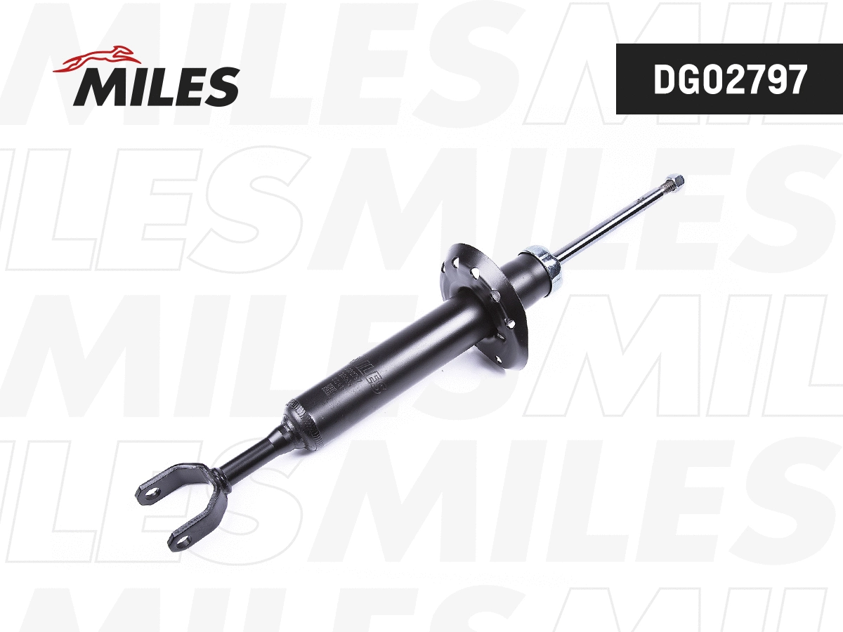 Shock Absorber (DG02797)