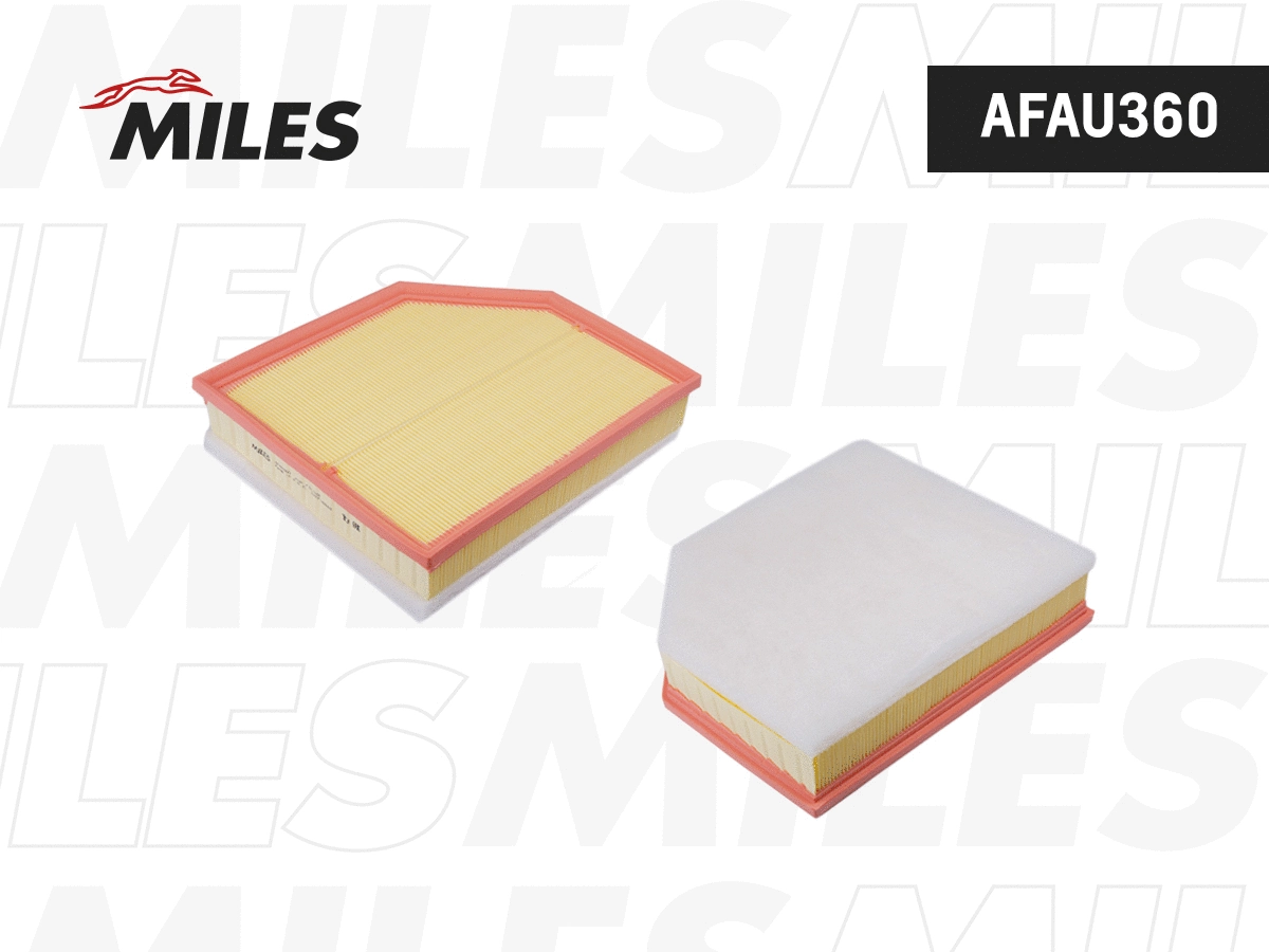 Air Filter (AFAU360)