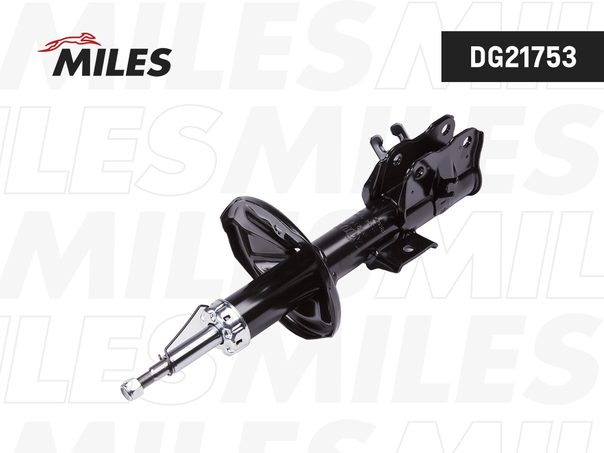 Shock Absorber (DG21753)