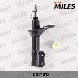Shock Absorber (DG21012)
