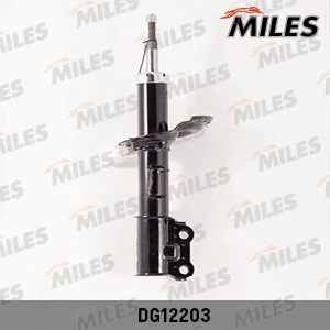 Shock Absorber (DG12203)