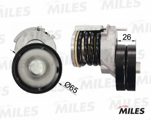 Tensioner Lever, V-ribbed belt (AG00314)