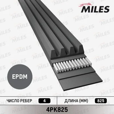 V-Ribbed Belt (4PK825)