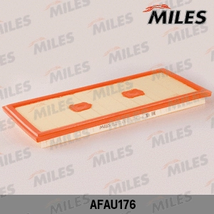 Air Filter (AFAU176)