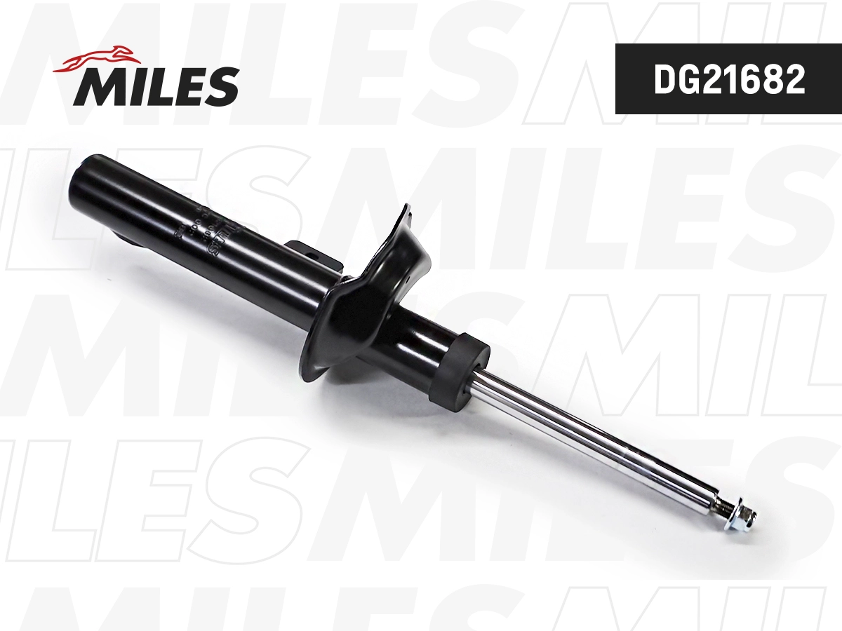 Shock Absorber (DG21682)