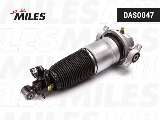 Air Suspension Strut (DAS0047)