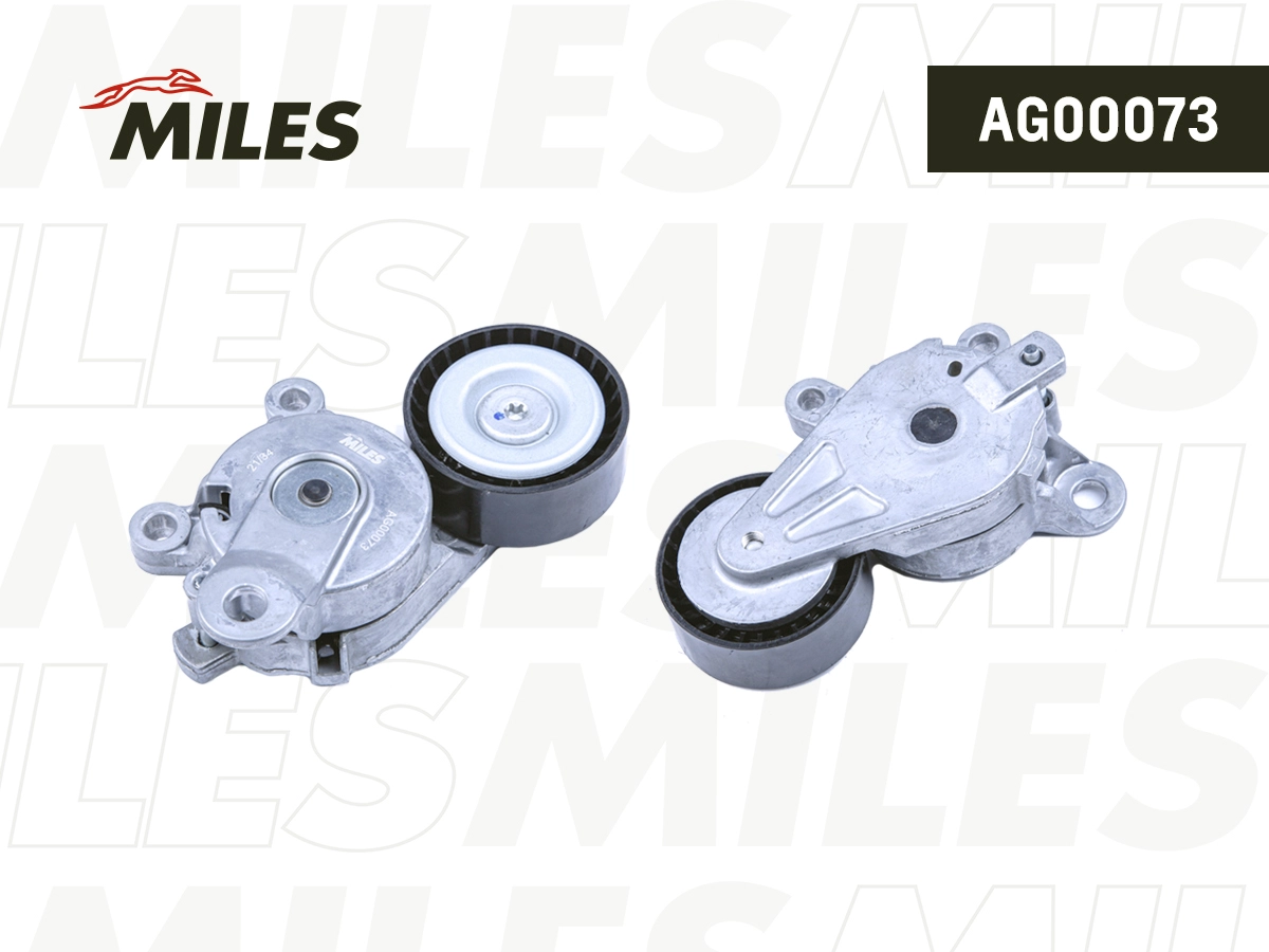 Tensioner Lever, V-ribbed belt (AG00073)