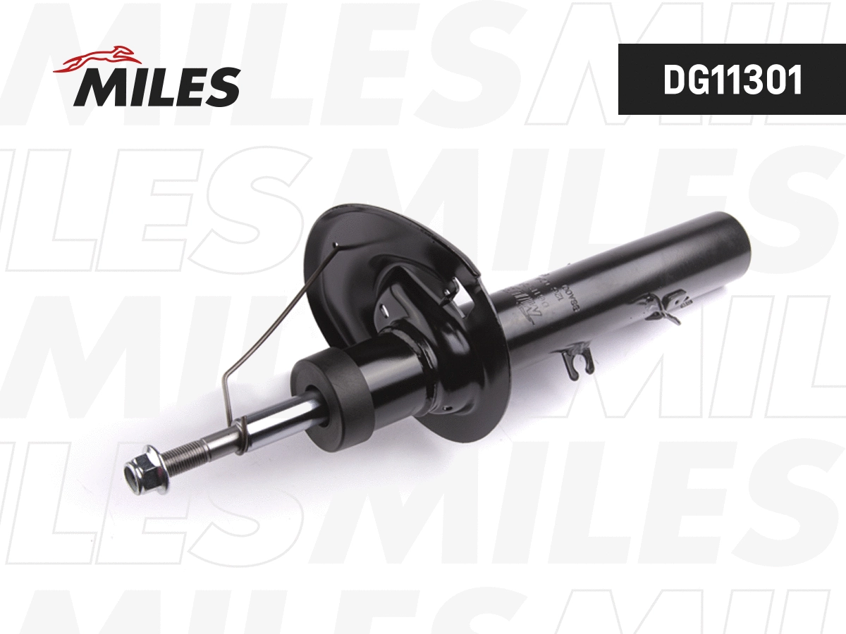 Shock Absorber (DG11301)