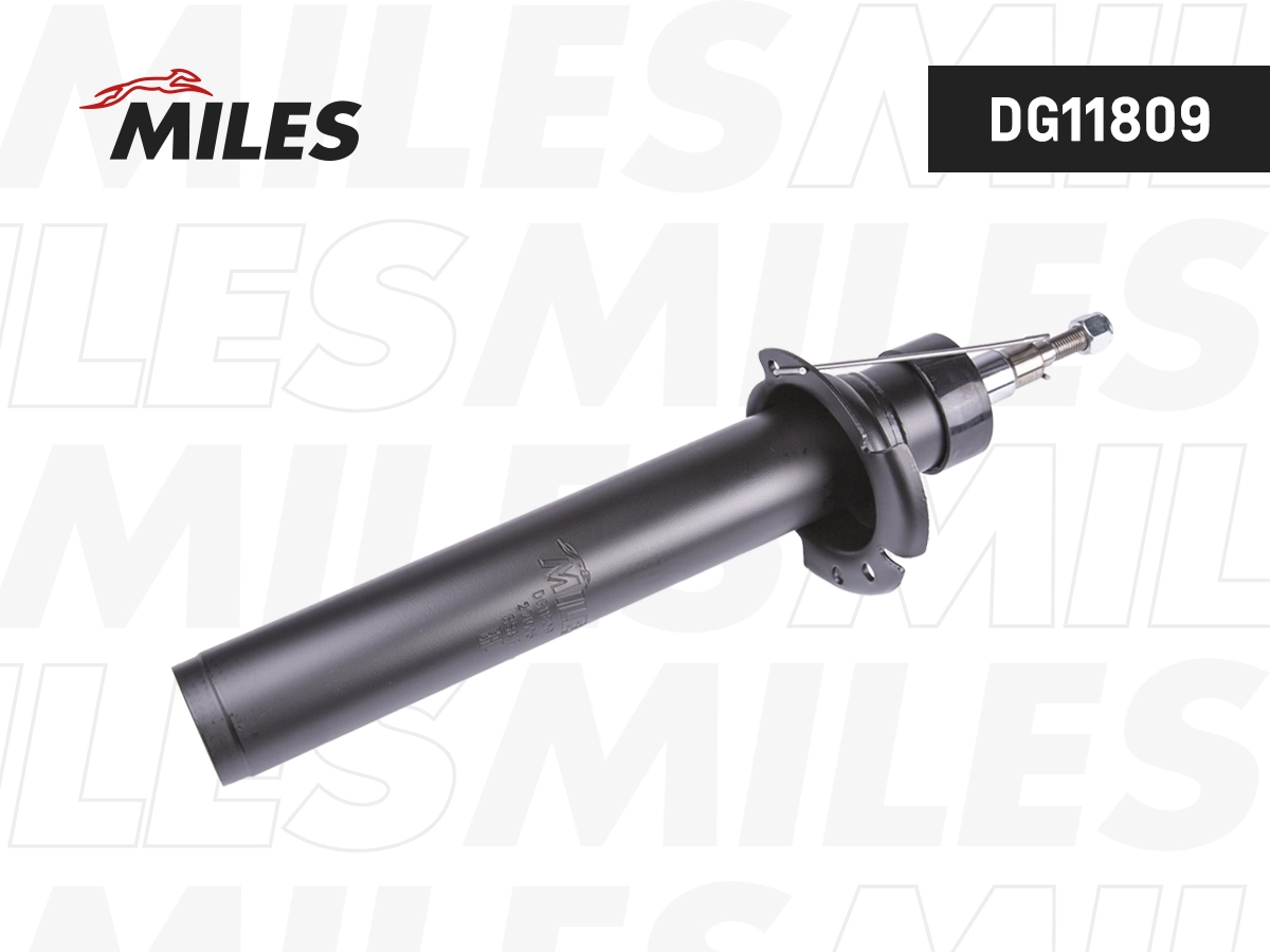 Shock Absorber (DG11809)