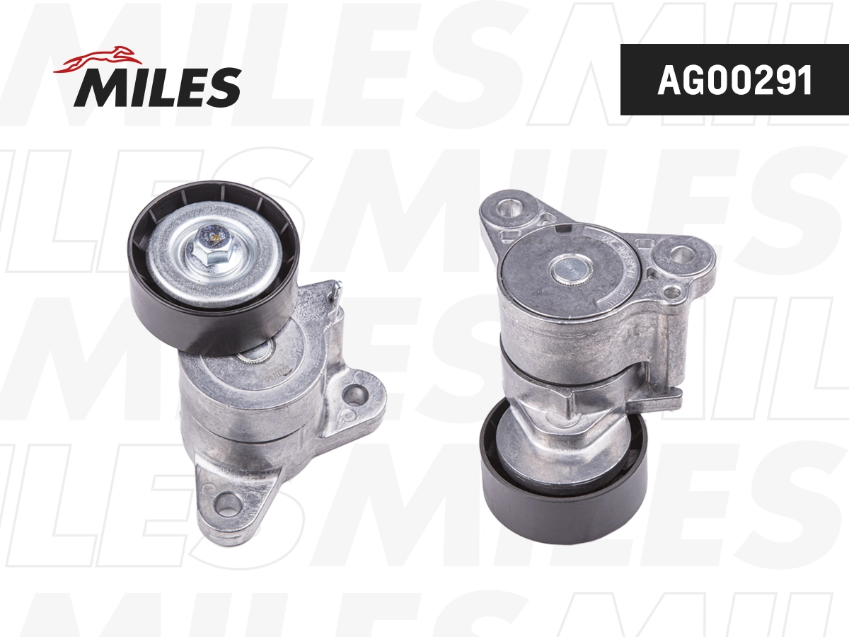 Tensioner Lever, V-ribbed belt (AG00291)