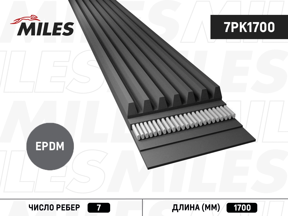 V-Ribbed Belt (7PK1700)