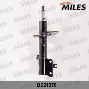 Shock Absorber (DG21076)