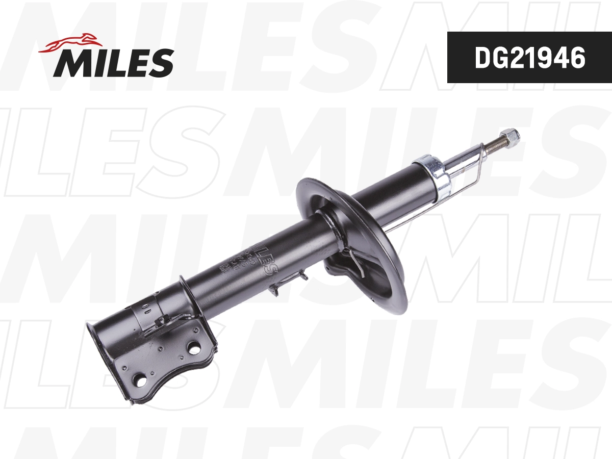 Shock Absorber (DG21946)