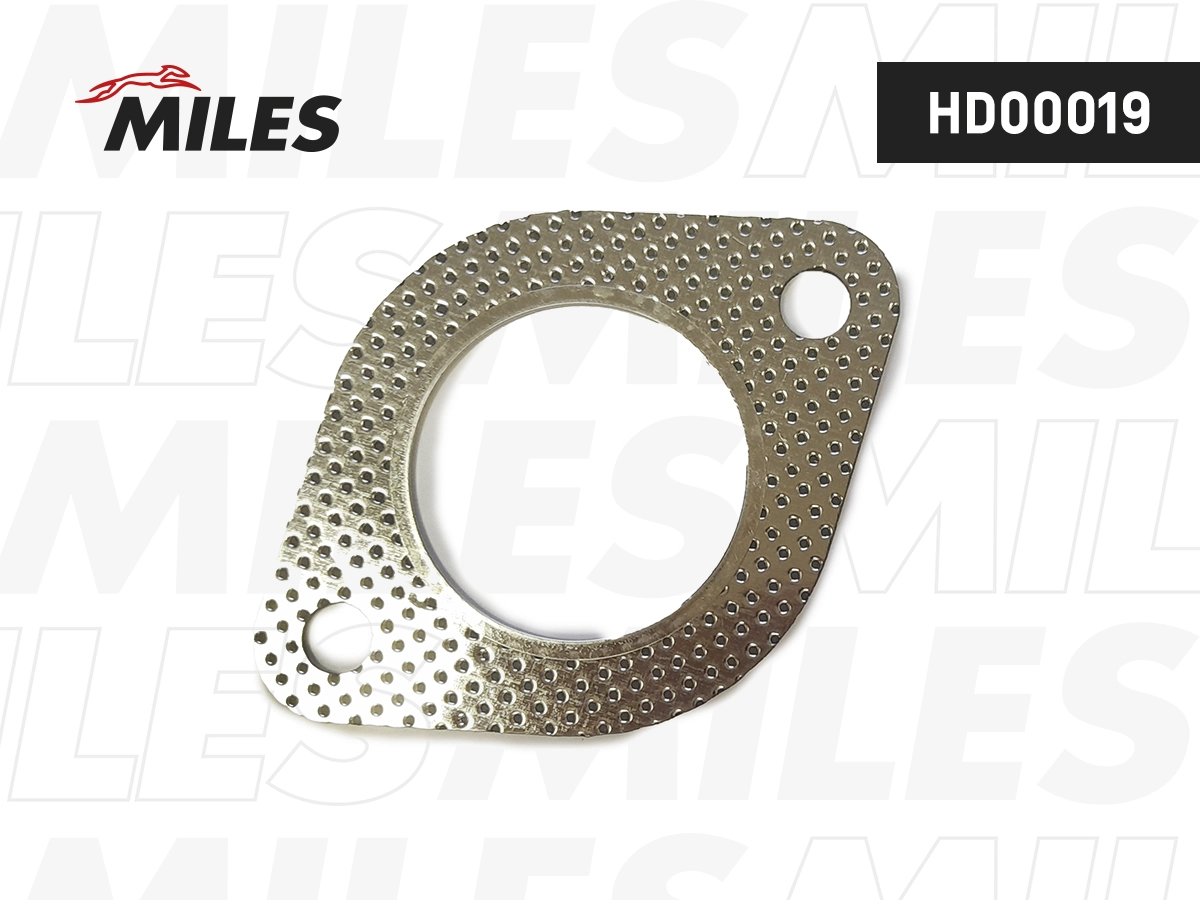 Gasket, exhaust pipe (HD00019)
