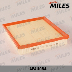 Air Filter (AFAU054)