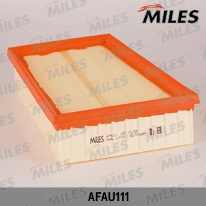 Air Filter (AFAU111)