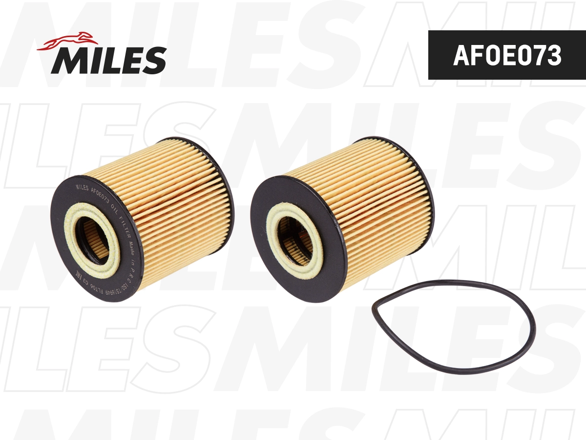 Oil Filter (AFOE073)
