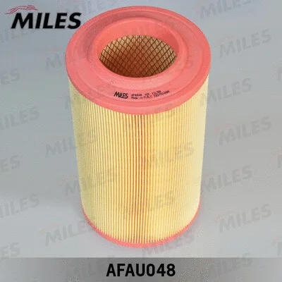 Air Filter (AFAU048)