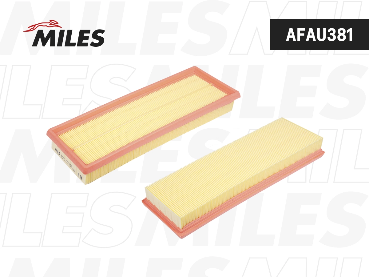 Air Filter (AFAU381)