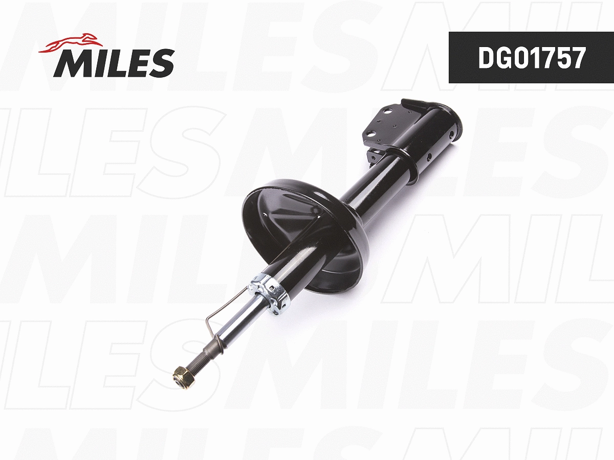 Shock Absorber (DG01757)