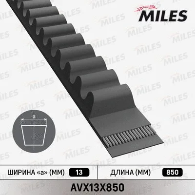 V-Belt (AVX13X850)