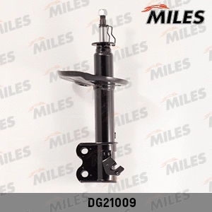 Shock Absorber (DG21009)