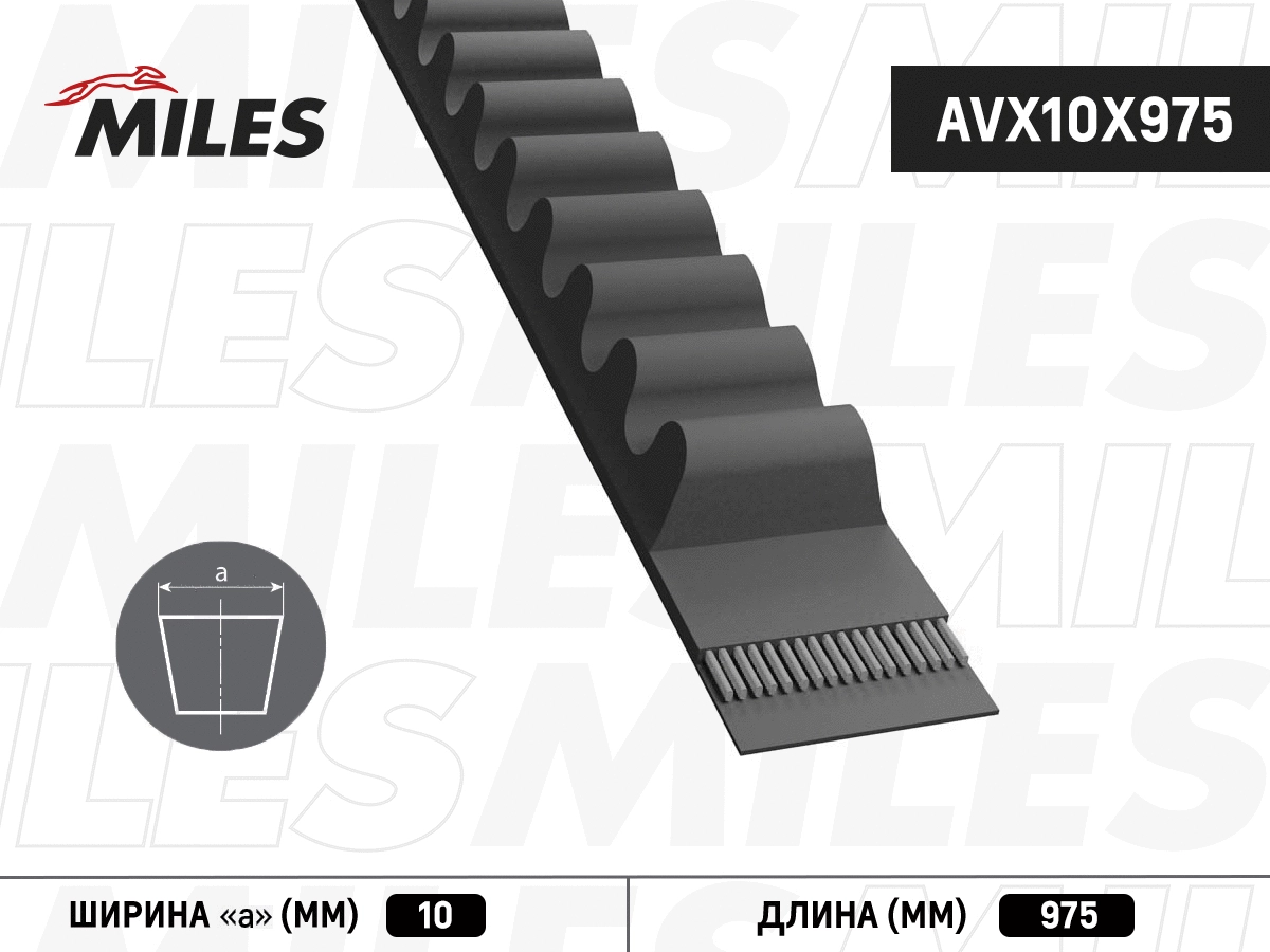 V-Belt (AVX10X975)