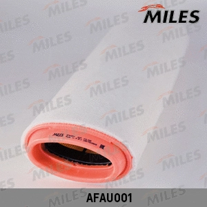 Air Filter (AFAU001)