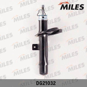 Shock Absorber (DG21032)