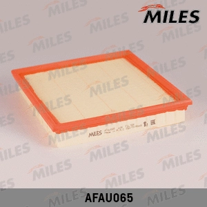 Air Filter (AFAU065)