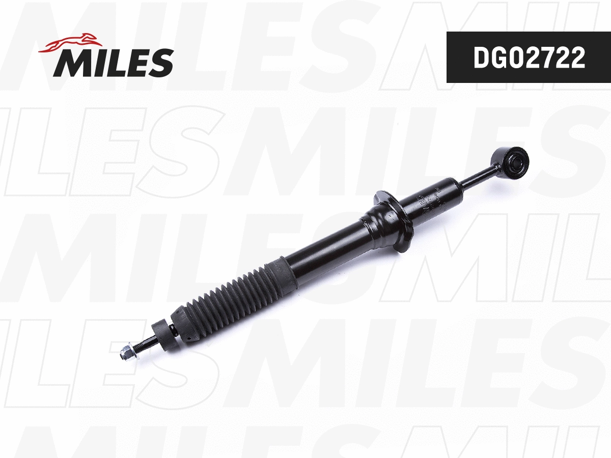 Shock Absorber (DG02722)