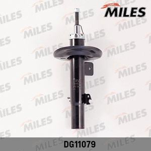 Shock Absorber (DG11079)